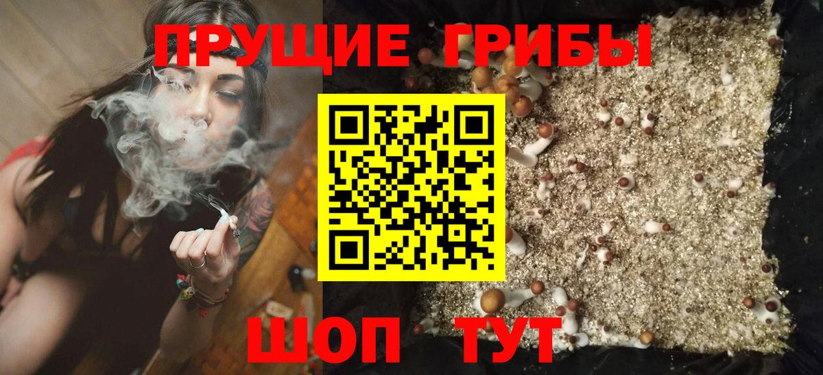Черкесск  Псилоцибиновые грибы мухоморы  продажа наркотиков  Вход с VPN 